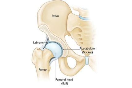 Hip Arthroscopy